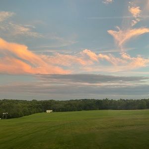 Meet your Posher, Bailey